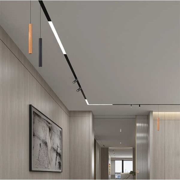 Магнитная трековая система